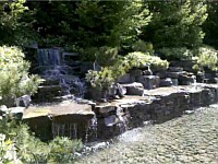 Pools/Water Features